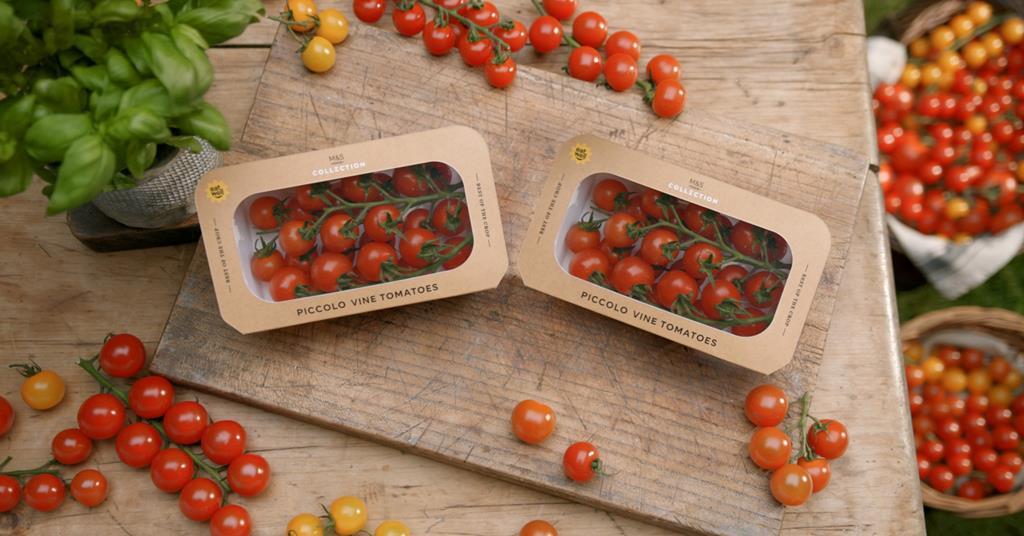 M&S launches recyclable tomato packs | Article | Fruitnet