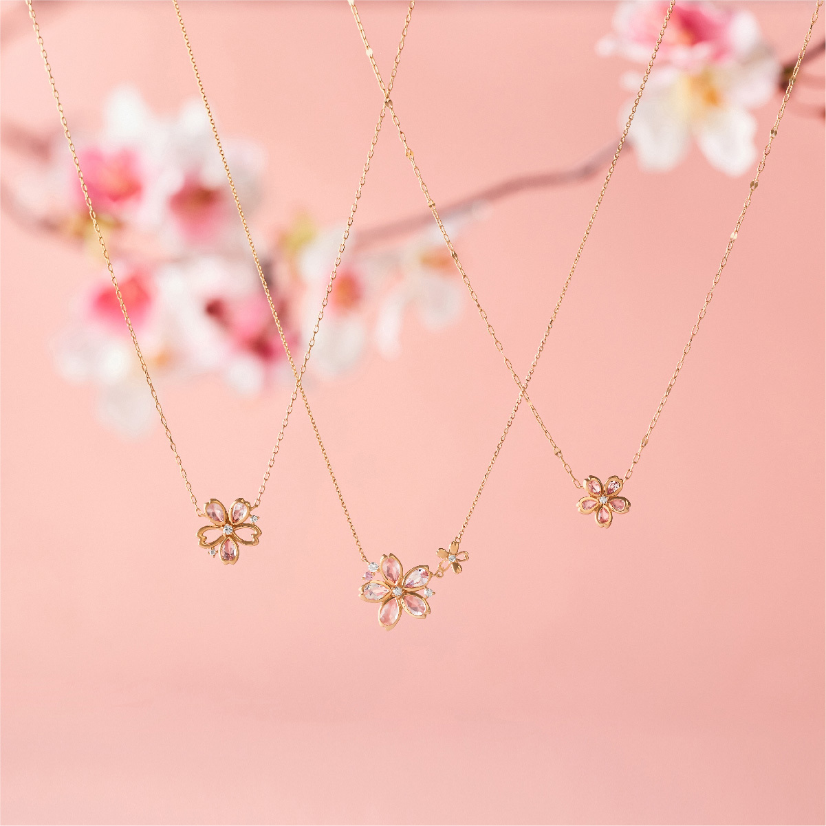 完売必至・春を呼ぶ “Sakura Collection2022” 毎年支持される秘密とは？