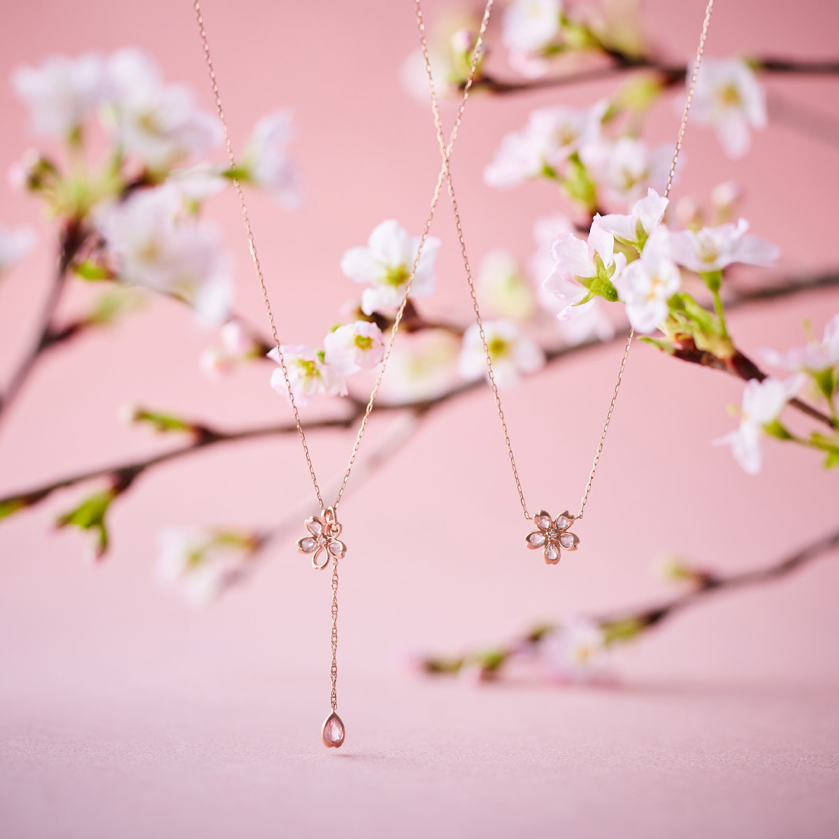 大人気の “Sakura Collection 2023” 5周年で一新！注目アイテムをご紹介