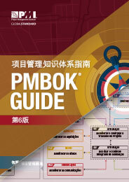 PMBOK® Guide 6th Edition – Processes Flow – Ricardo Viana Vargas