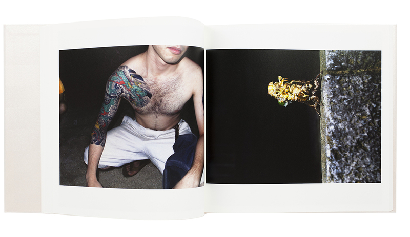 絶景のポリフォニー - 石川竜一 | shashasha 写々者 - 写真集とアート