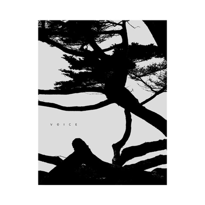 Circulation: Date, Place, Events - Takuma NAKAHIRA | shashasha