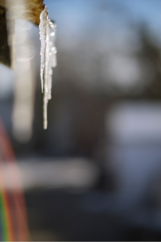 Terri WEIFENBACH - テリ・ワイフェンバック | shashasha