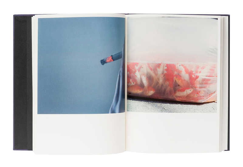 Illuminance: The Tenth Anniversary Edition - 川内倫子 | shashasha