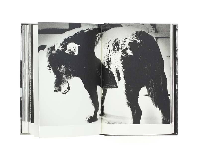 Daido Moriyama: Terayama (日本語版） - 森山大道 | shashasha 写々者