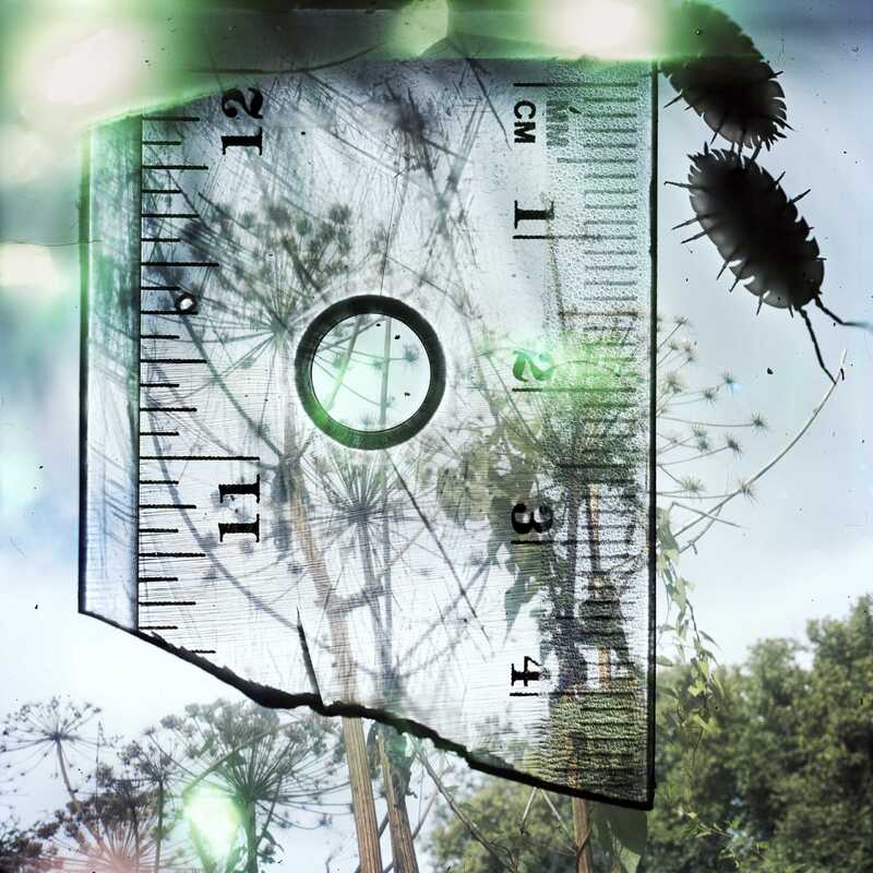 スティーブン・ギル - Stephen GILL | shashasha 写々者 - 写真集と