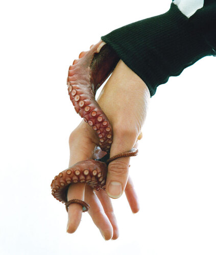 Torbjørn RØDLAND - トールビョルン・ロドランド | shashasha