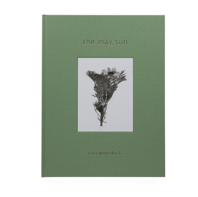 Terri WEIFENBACH - テリ・ワイフェンバック | shashasha