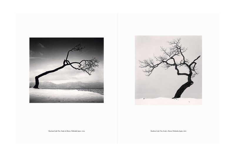 Japan | A Love Story - マイケル・ケンナ | shashasha 写々者 - 写真