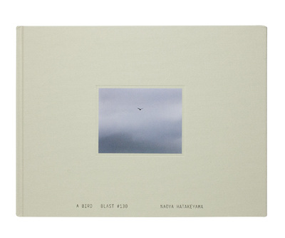 A Bird / Blast #130 - 畠山直哉 | shashasha 写々者 - 写真集とアート