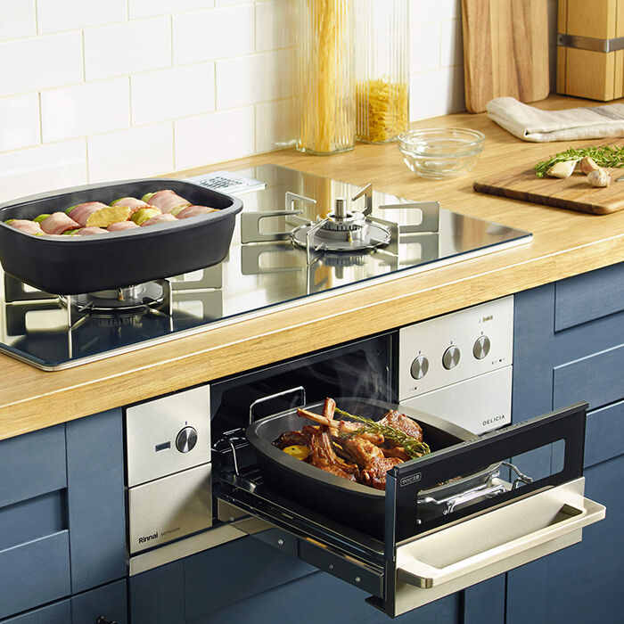 DELICIA デリシア 60cmの価格-リンナイのガスコンロ・IH｜定額の