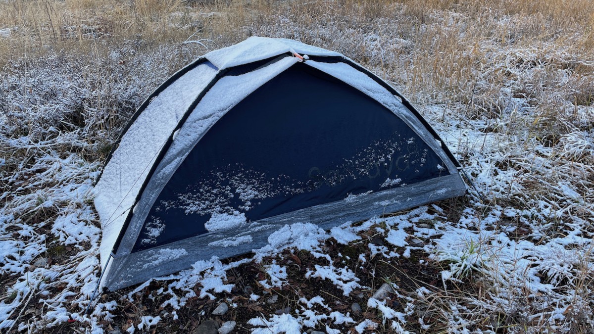 Samaya2.0 Review | Tested & Rated