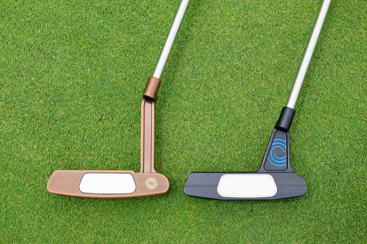 カップインはほぼ確定!? キリン柄パターをツアーで発見 - みんなの