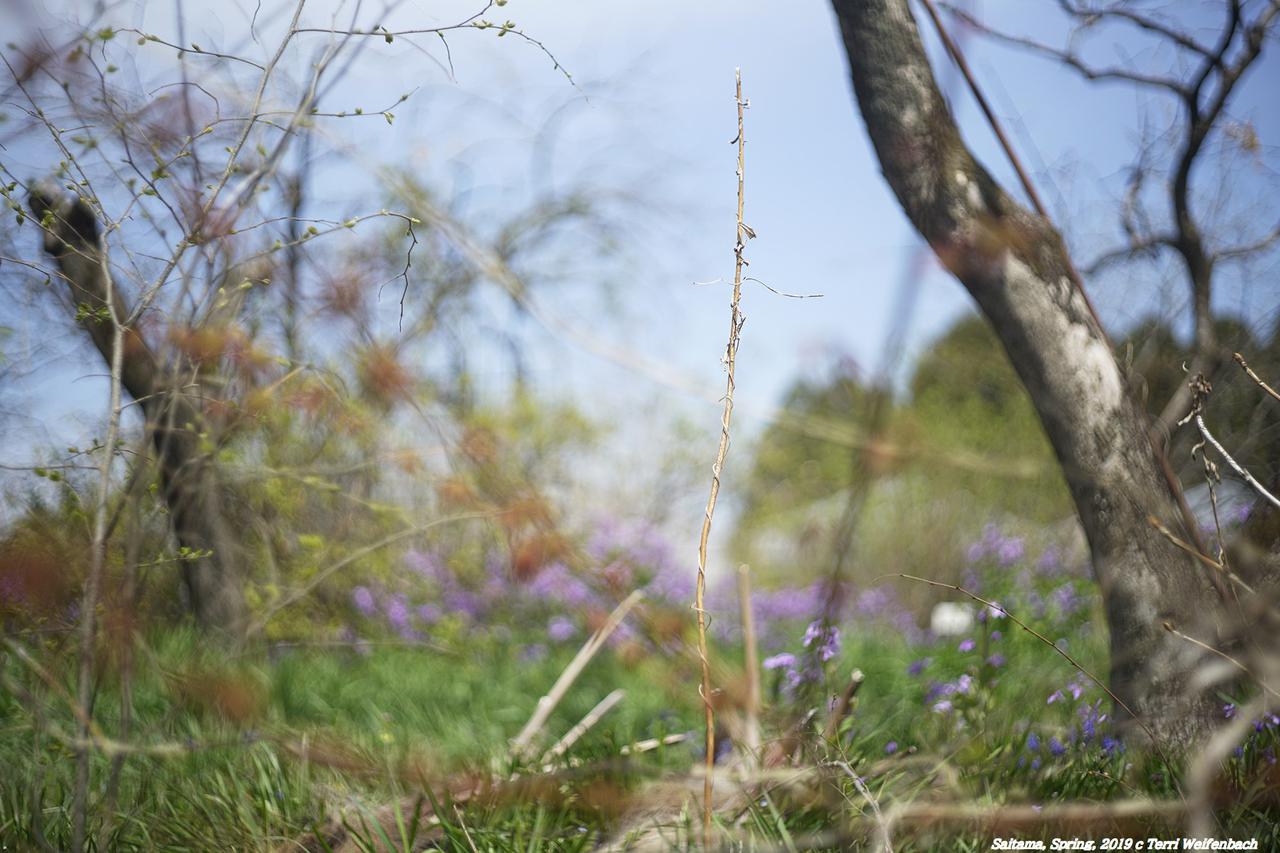 テリ・ワイフェンバック写真展「Certain Places」が東京・目黒の