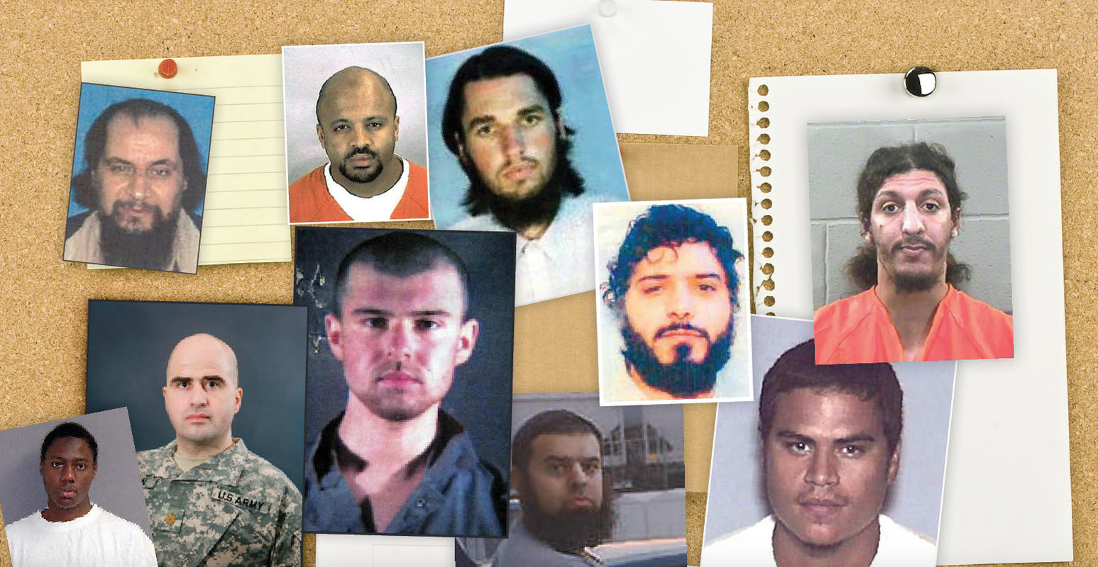 Terrorism in America After 9/11: Who Are the Terrorists?