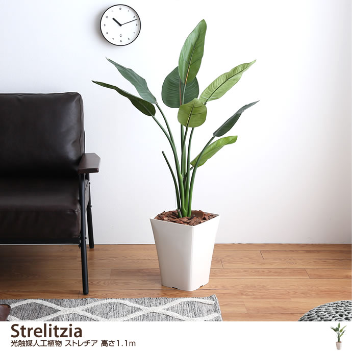 g46048]Strelitzia 光触媒人工植物 ストレチア 高さ1.1m 観葉植物