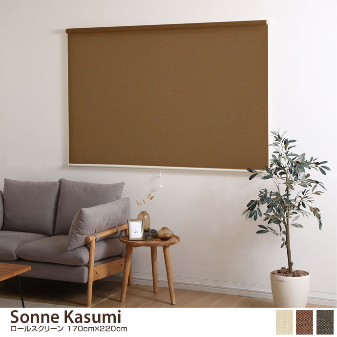 g62423]【170cm×220cm】 Sonne Kasumi ロールスクリーン 無地 | 家具