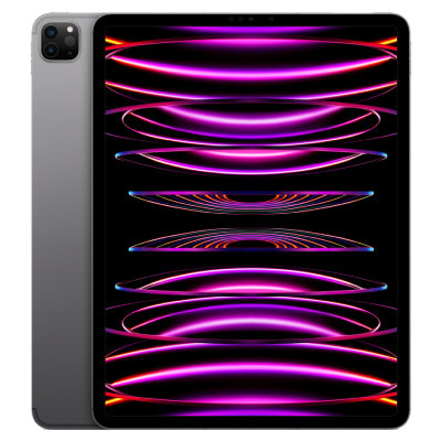 第6世代】iPad Pro 12.9インチ Wi-Fi 256GB スペースグレイ MNXR3J/A