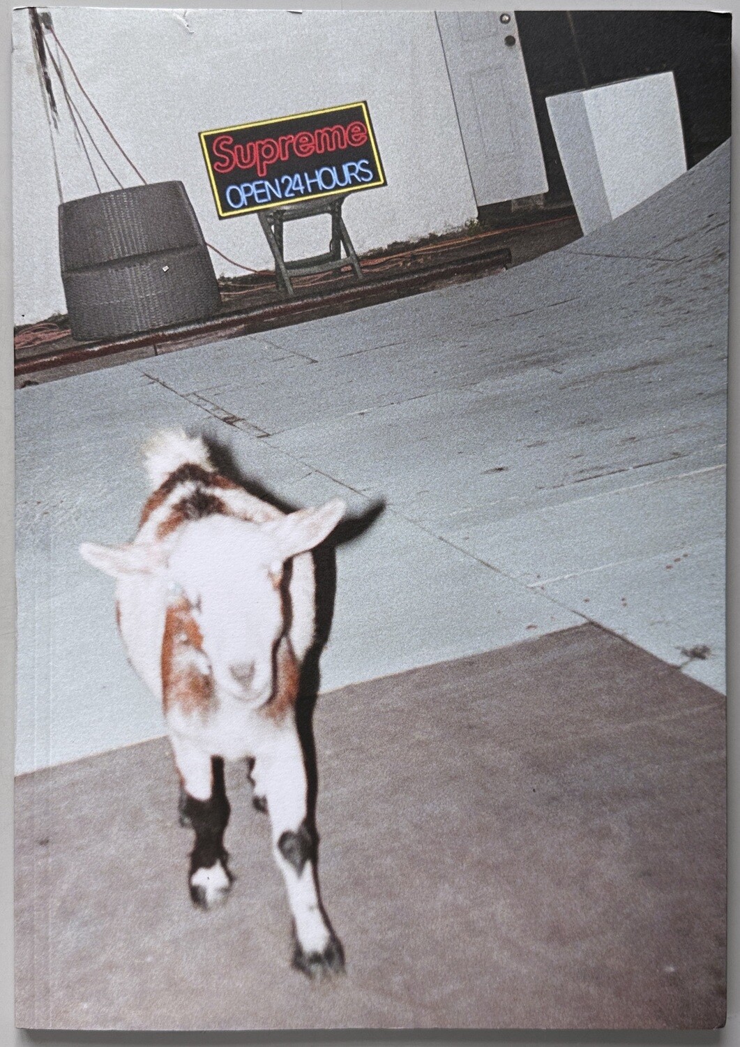 Supreme Harmony Korine Sun Damage