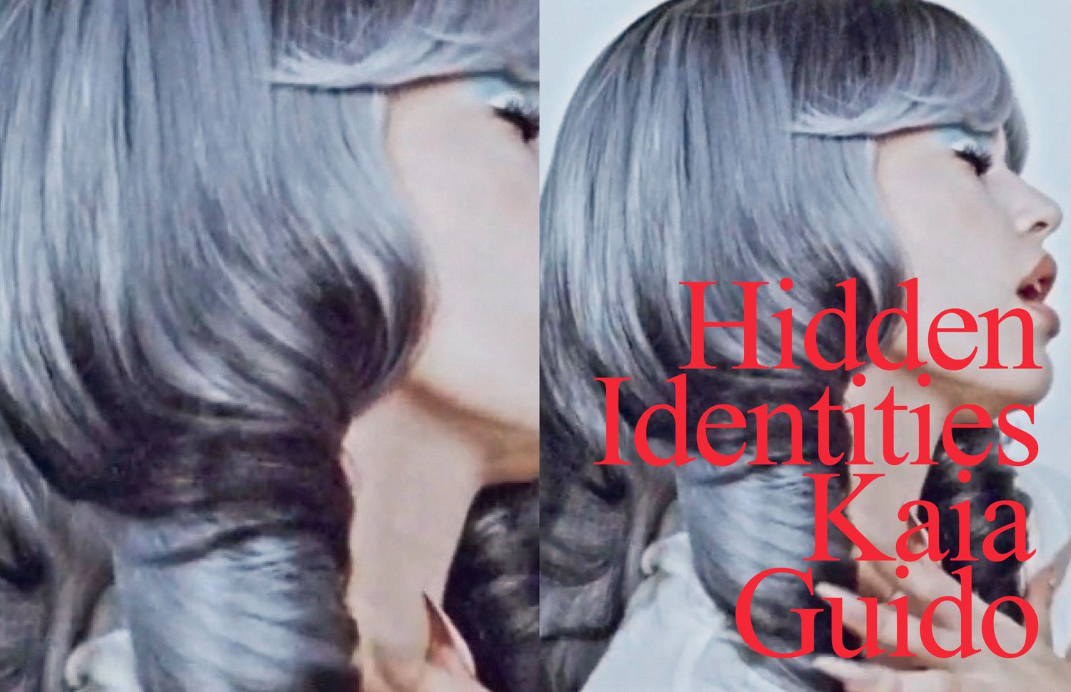 Guido Kaia Hidden Identities