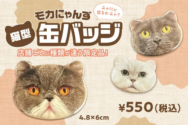 大人気おやつ「550円⇒無料」クーポン！』猫カフェ MOCHA（モカ