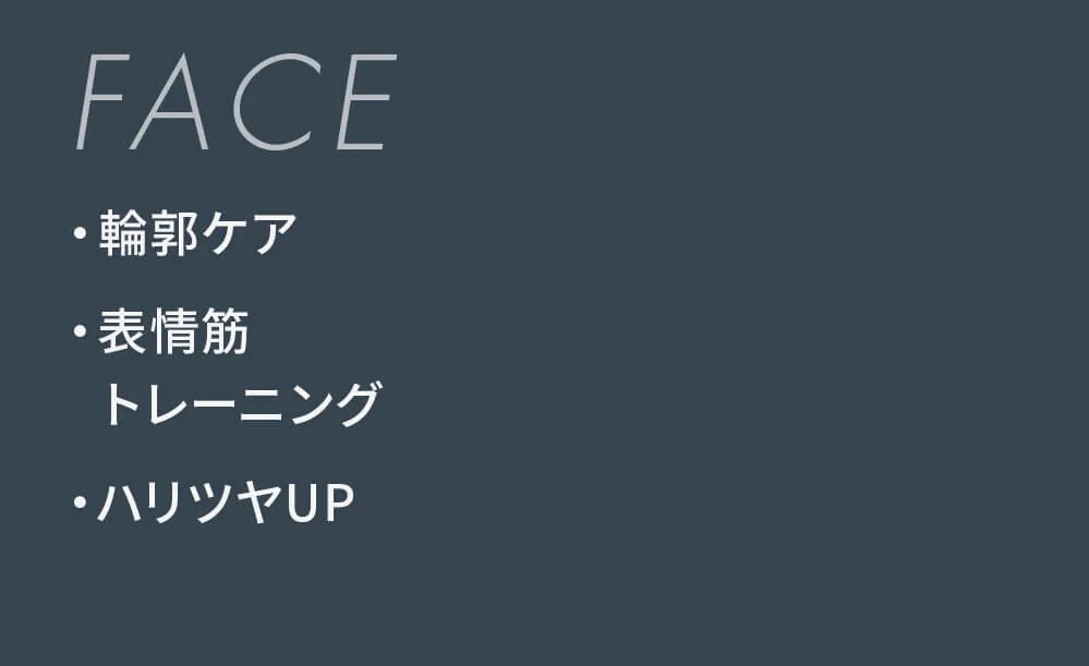 公式】ELEKI BRUSH PLUS