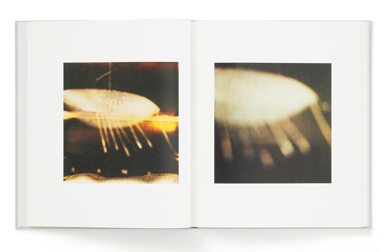 Cy Twombly Photographs: Lyrical Variations - Cy Twombly | moom