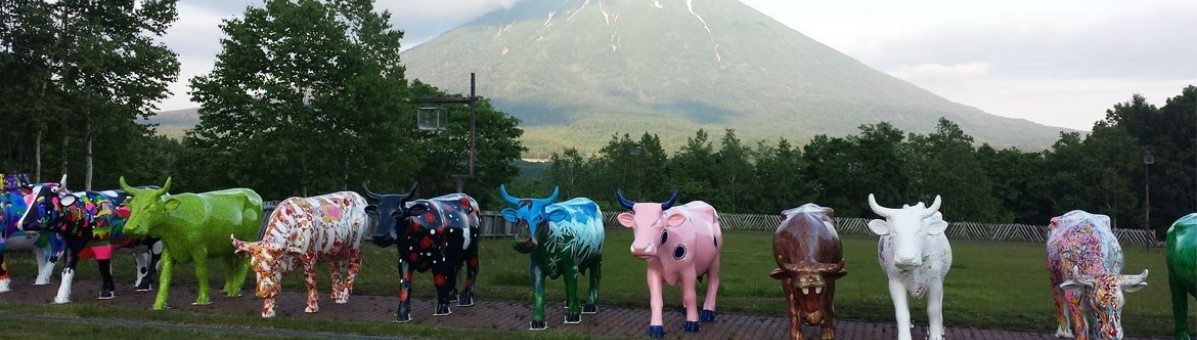 カウパレードニセコの【公式アプリ】と【COW COWキャンペーン】 | 木