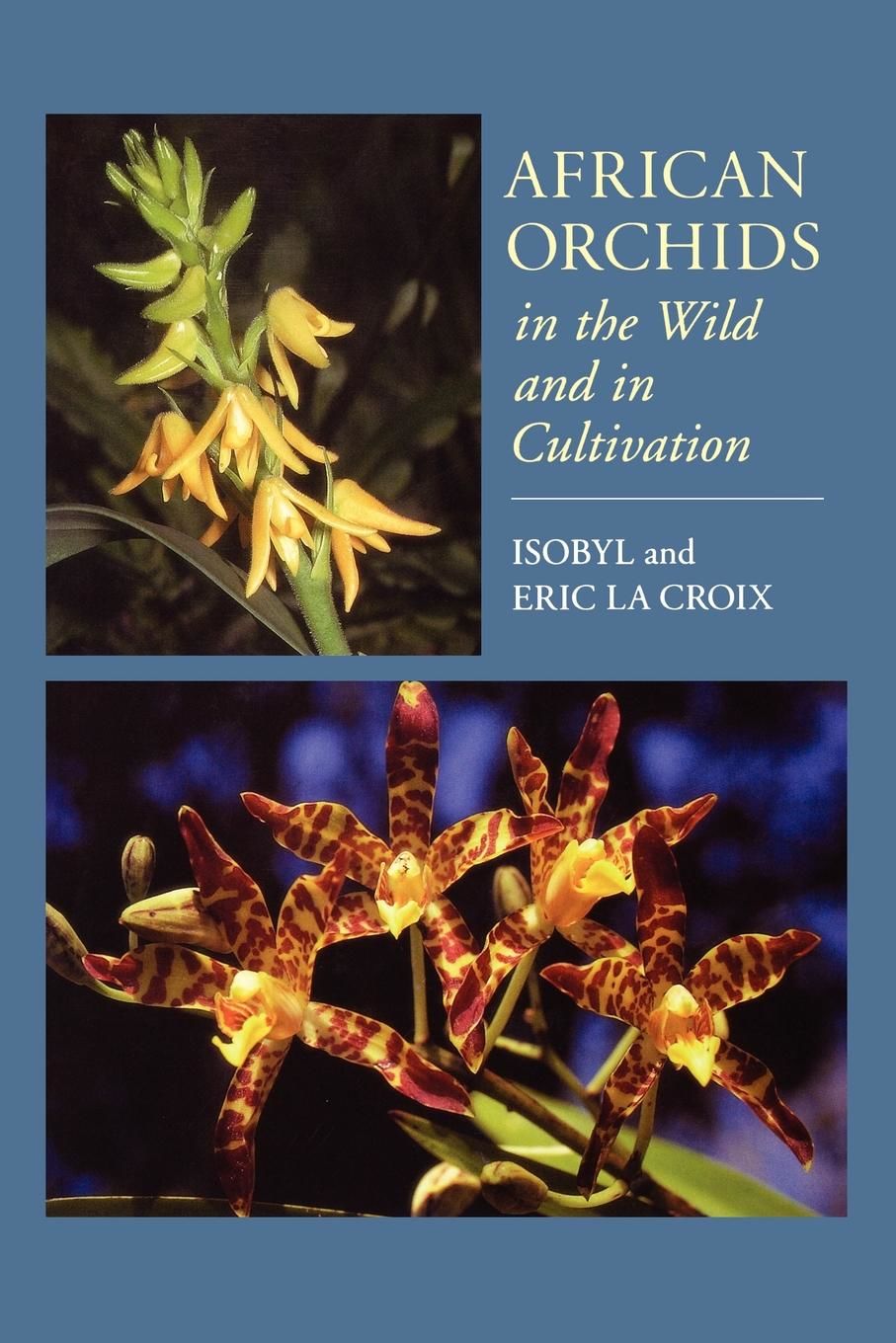 African Orchids In The by La Croix Isobyl La (18 items) - Biblio