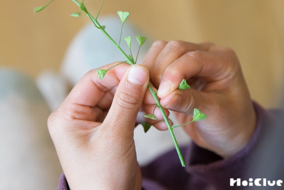 自然あそび】ぺんぺん草をならすには？！〜素材／ぺんぺん草〜 | 保育