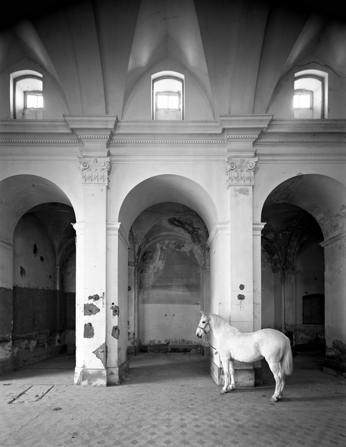 Jordi Bernadó - Art & Prints for Sale | Artsy