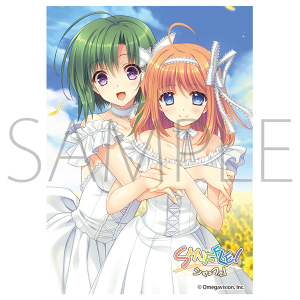 きゃらスリーブコレクションマットシリーズ Navel それは舞い散る桜の