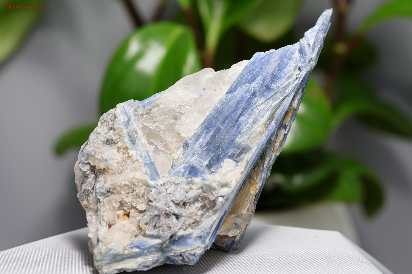 カイヤナイトの原石(A458)