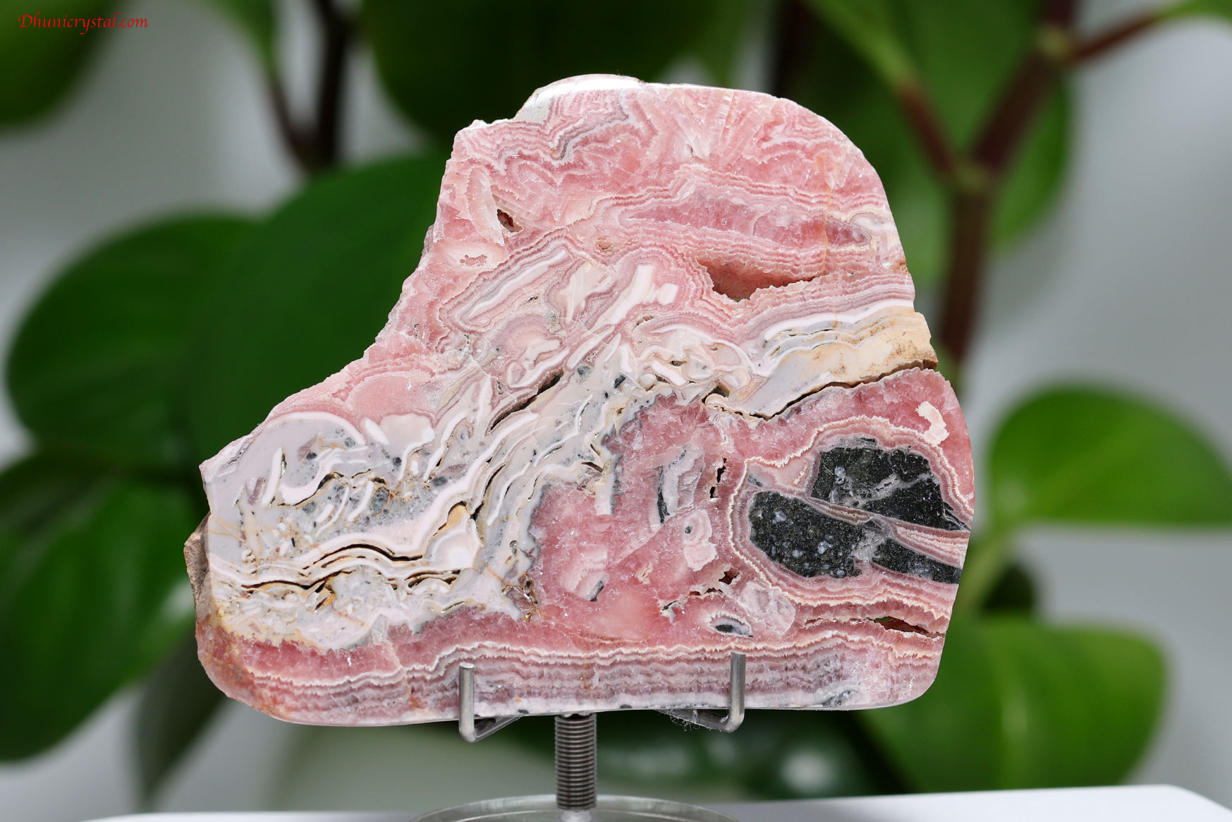 インカローズ/ロードクロサイトのスライス(A616)