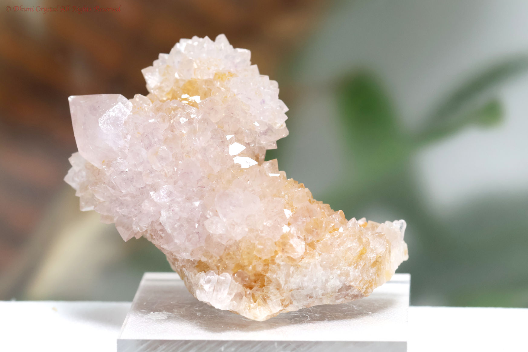 ホワイト・スピリットクォーツ/カクタスクォーツ(A874)