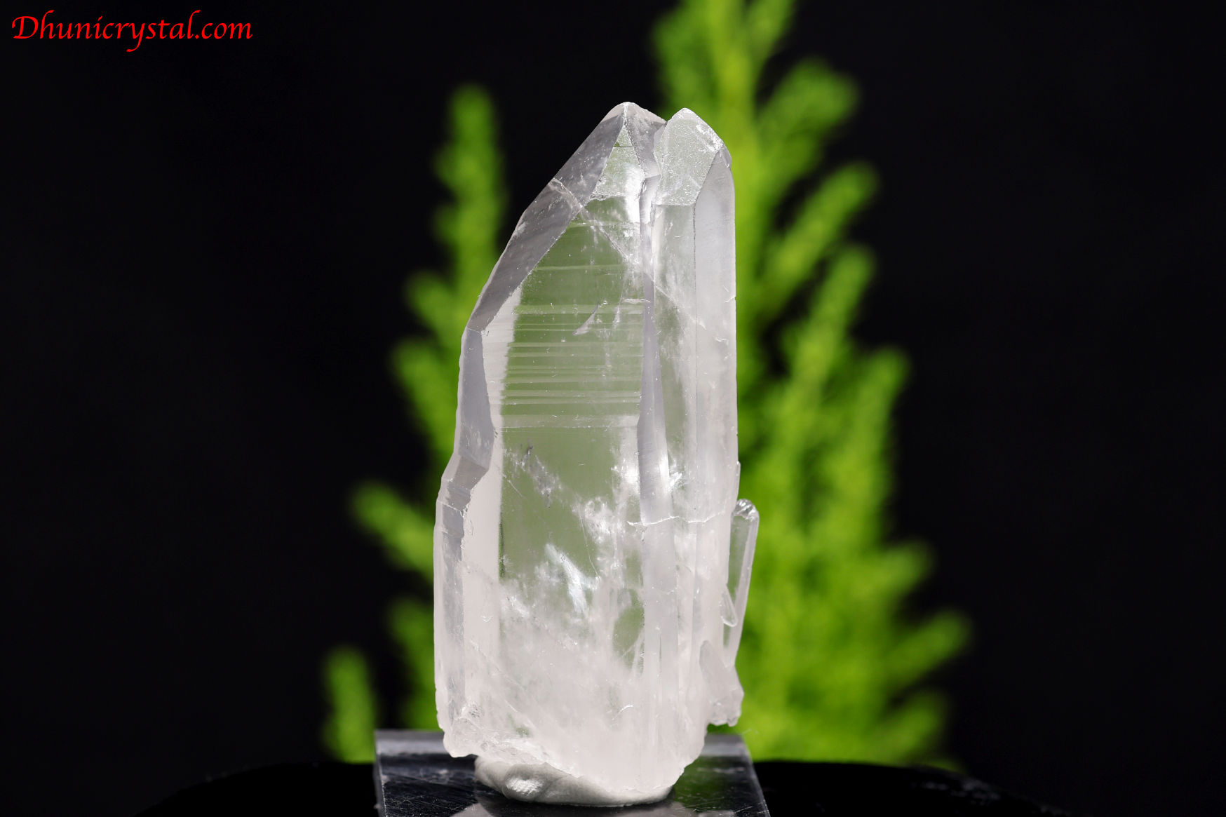 レムリアンシードクリスタル/タントリックツイン/セラドカブラル産(A110)