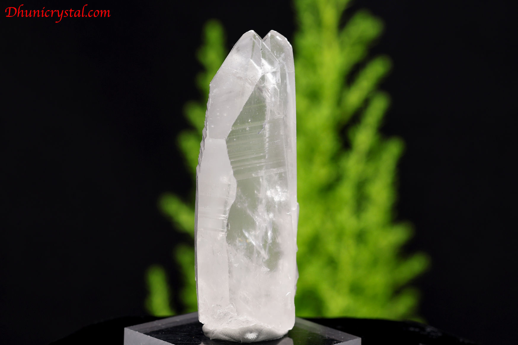 レムリアンシードクリスタル/タントリックツイン/セラドカブラル産(A110)