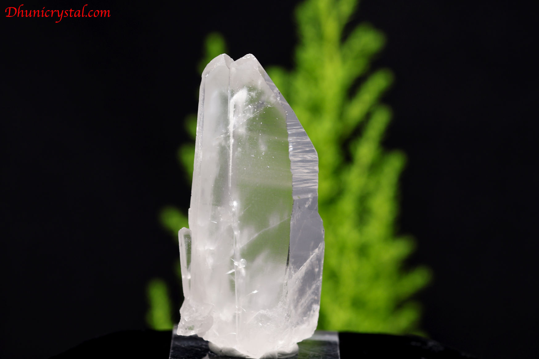 レムリアンシードクリスタル/タントリックツイン/セラドカブラル産(A110)