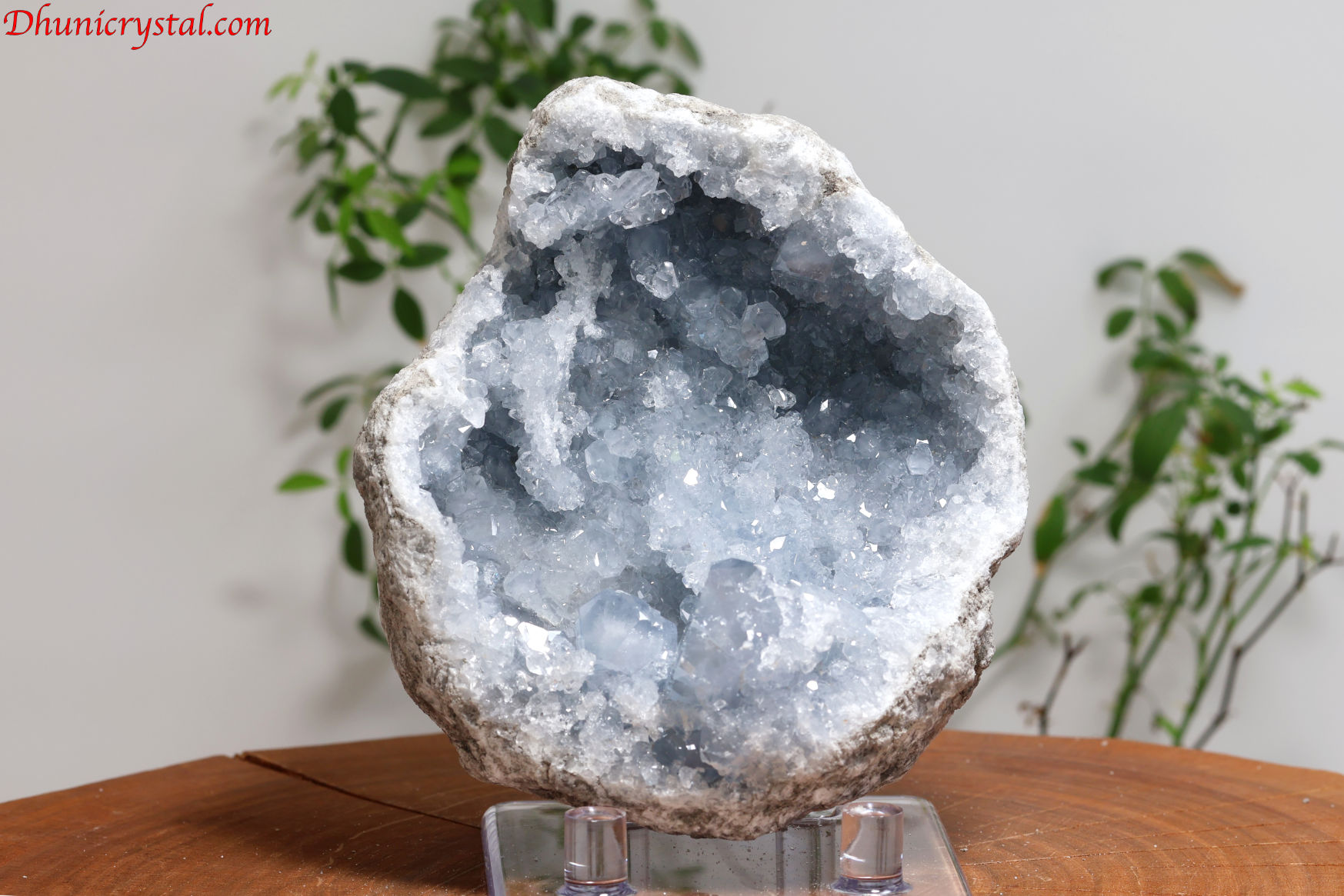 セレスタイト原石/天青石(W75)