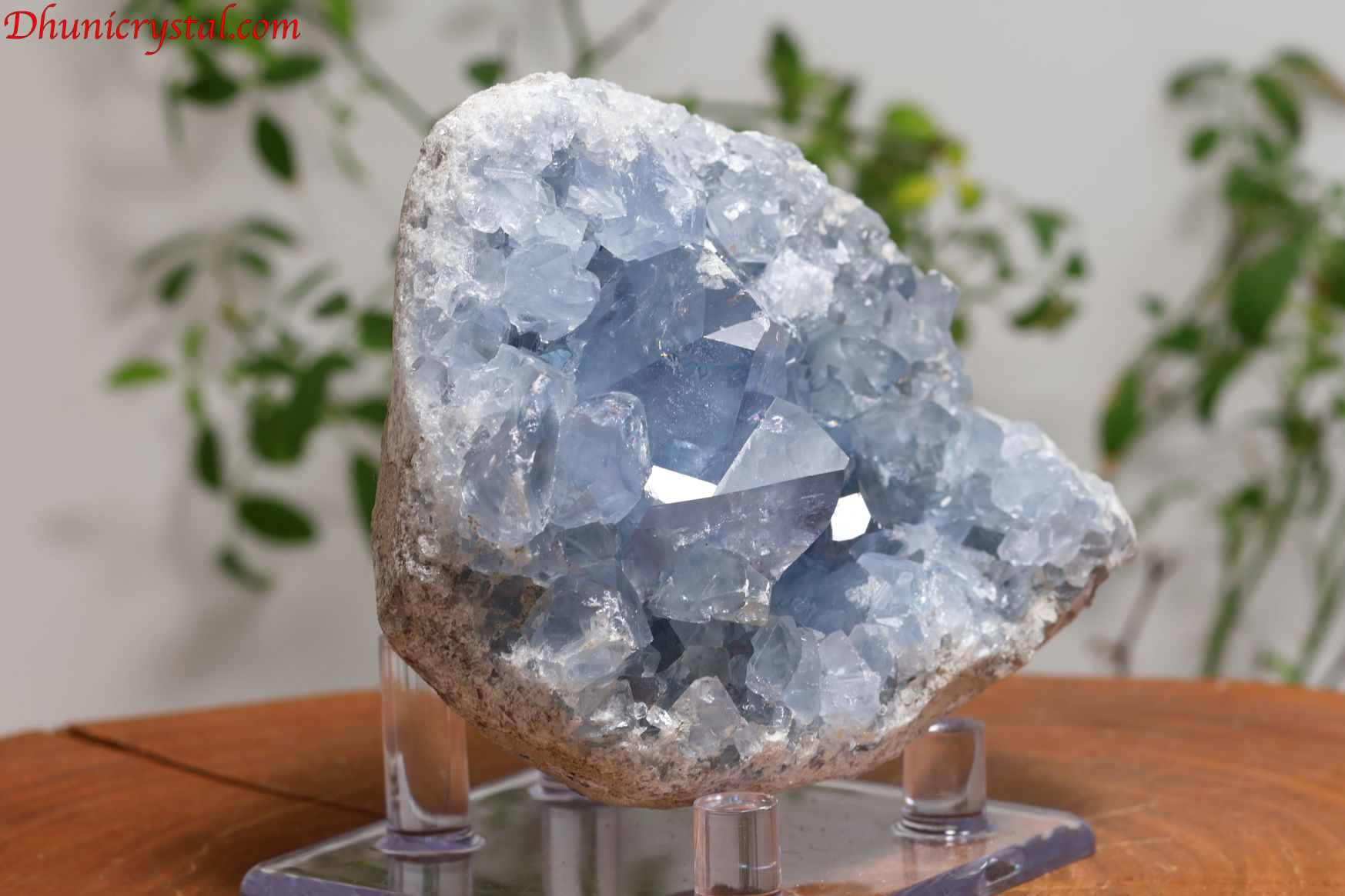 セレスタイト原石/天青石(W76)