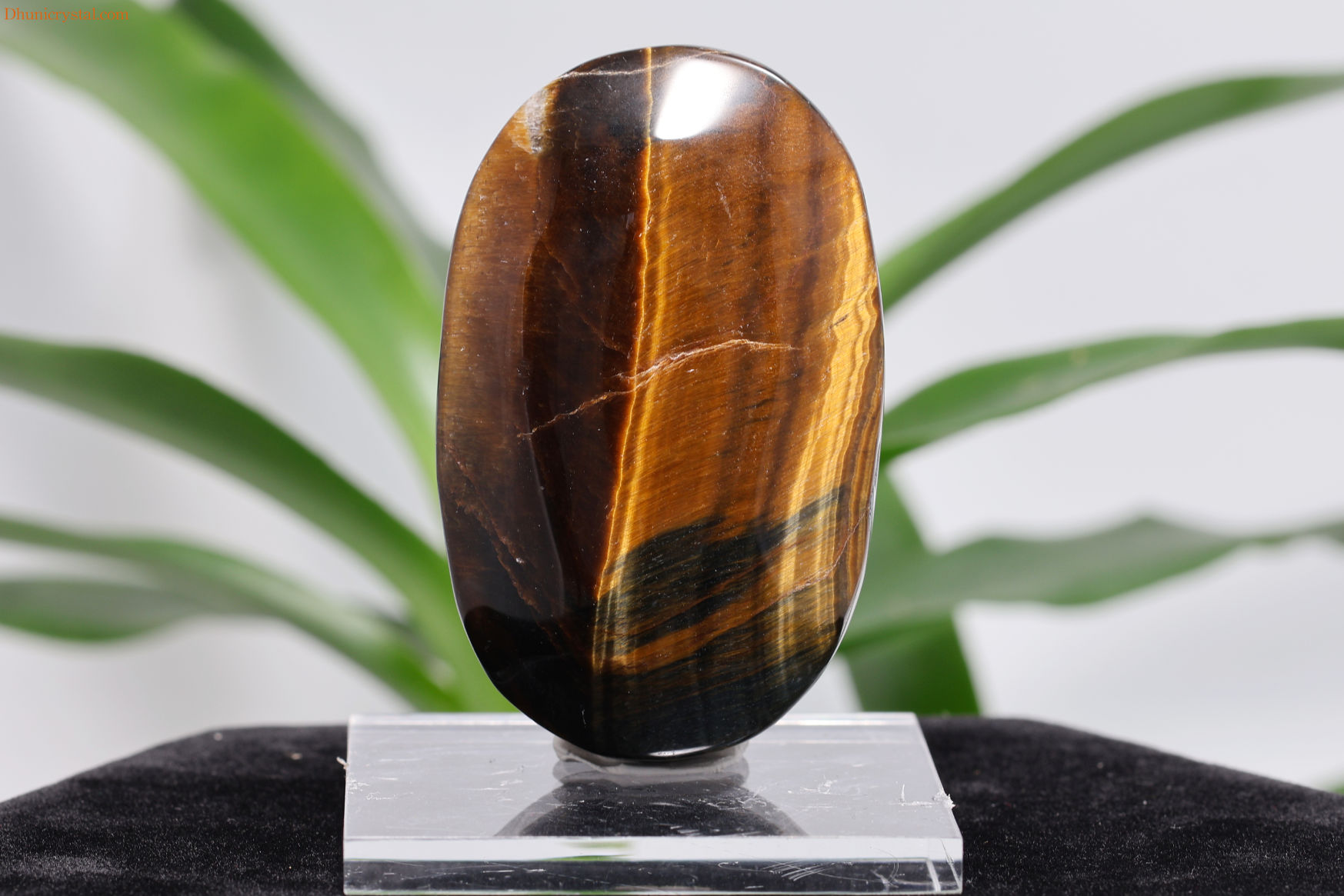 タイガーアイ(W232)