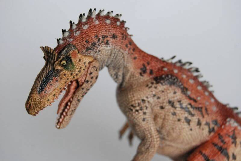 クリオロフォサウルス（Papo）レビュー | 大人の恐竜模型館