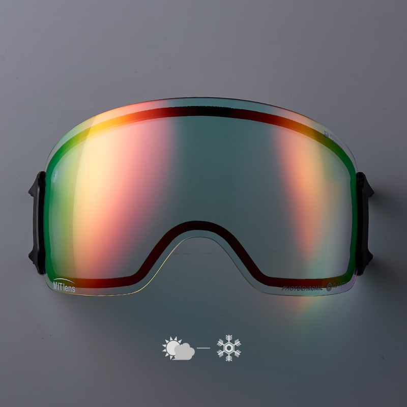 DICE snowboarding goggles | ダイススノーボーディングゴーグル