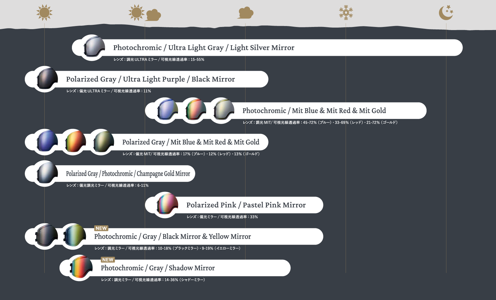 DICE snowboarding goggles | ダイススノーボーディングゴーグル