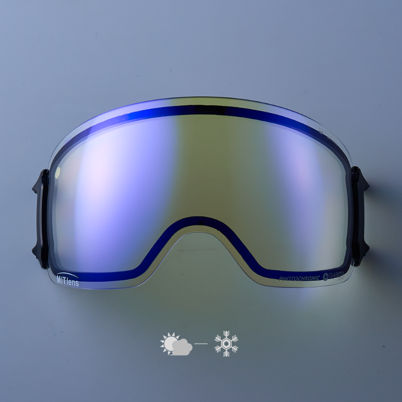 DICE snowboarding goggles | ダイススノーボーディングゴーグル