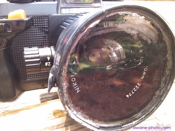 ニコノスのシステムを陸上でも活用したい 水を満たしたUW-NIKKOR 20mm