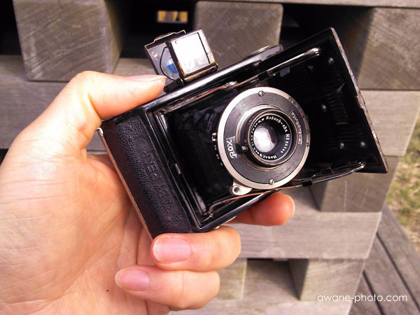 127フィルム」の日 今年のテーマは「枯れ木」にしよう～撮影日記