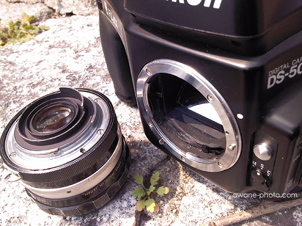 これも，オールドレンズブーム？ NIKKOR-N Auto 24mm F2.8をディジタル