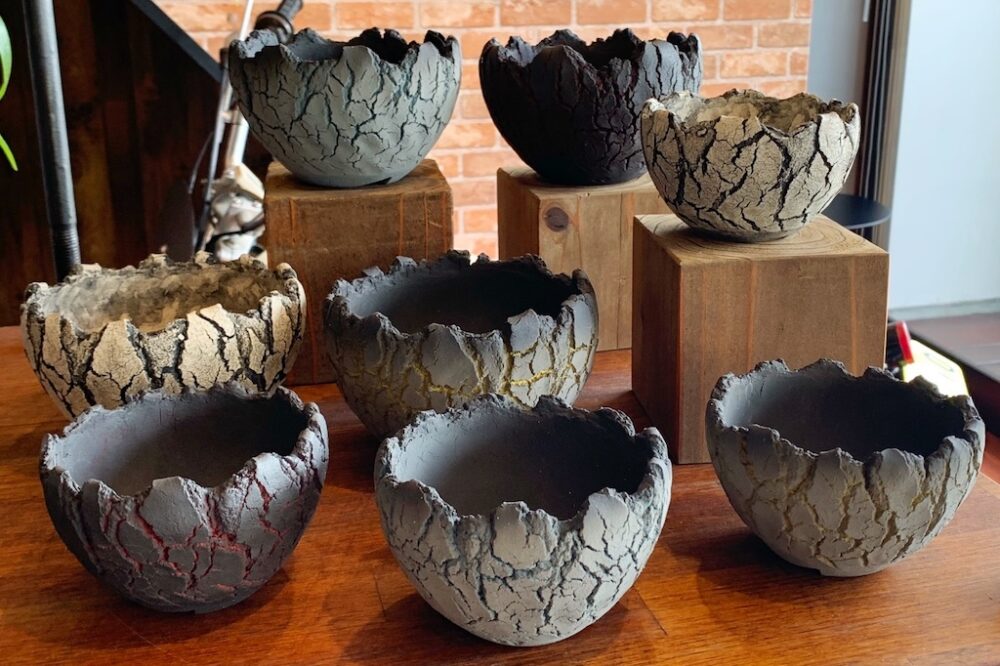 植物を愛する陶芸家「セキグチタカヒト」氏の陶器鉢。 | Dig-it