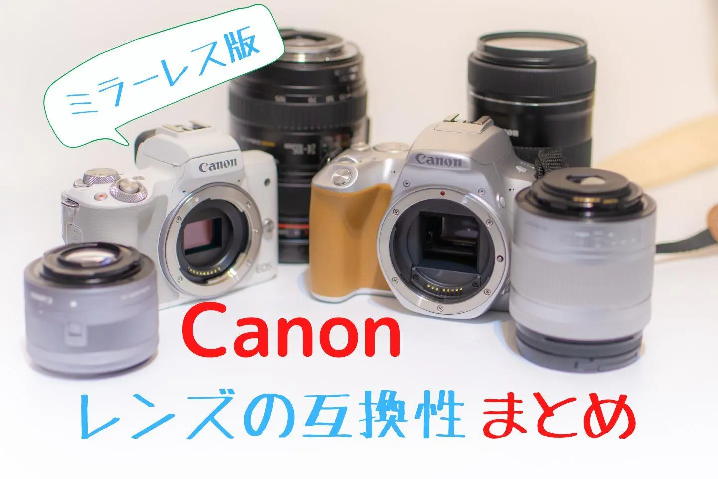 キヤノンミラーレス一眼用レンズの互換性まとめ｜シグマやタムロンは